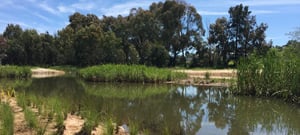 Parkes-Shire